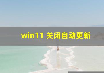 win11 关闭自动更新